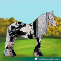 Horse Color:ERROR: UNKNOWN ANOMALY