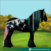 Horse Color:ERROR: UNKNOWN ANOMALY