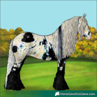 Horse Color:ERROR: UNKNOWN ANOMALY