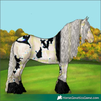 Horse Color:ERROR: UNKNOWN ANOMALY