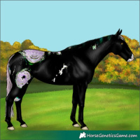 Horse Color:ERROR: UNKNOWN ANOMALY