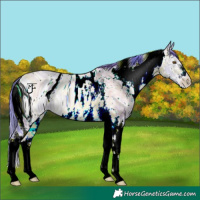 Horse Color:ERROR: UNKNOWN ANOMALY