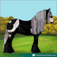 Horse Color:ERROR: UNKNOWN ANOMALY