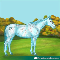 Horse Color:Thunderstruck Red Onyx Ice Tobiano Near Leopard
