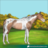 Horse Color:Liver Chestnut Pearl Tobiano Rabicano