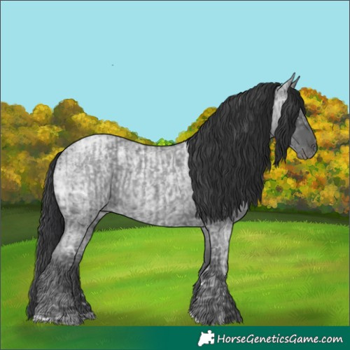 Horse Color:Blue Ice Roan  and Blue Ice Roan Rabicano 