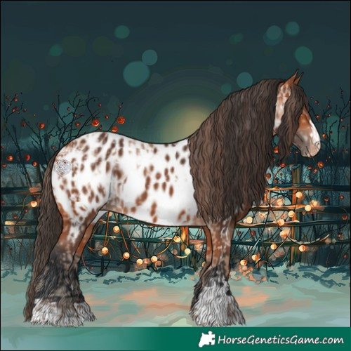Horse Color:Amber Champagne Appaloosa  and Bay Appaloosa 
