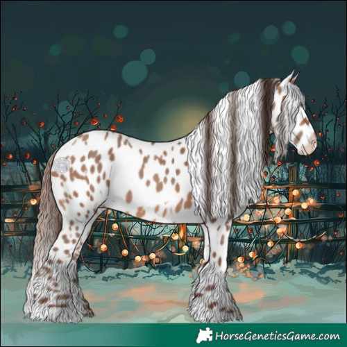 Horse Color:Amber Champagne Appaloosa  and Amber Champagne Tobiano Appaloosa 