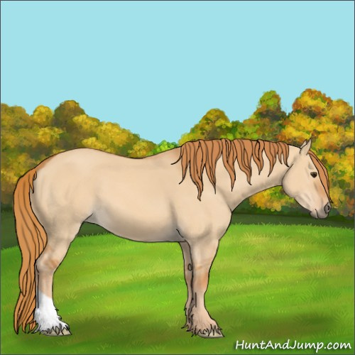 Horse Color:Red Dun 