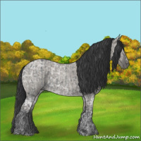 Horse Color:Blue Ice Roan  and Grullo Ice Roan 