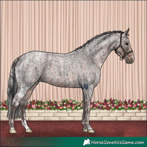 Horse Color:Blue Ice Roan and Silver Blue Ice Roan