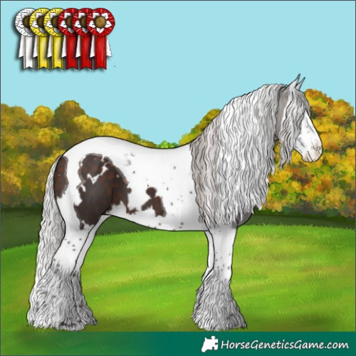 Horse Color:White Spotted Silver Brown Splash Tobiano