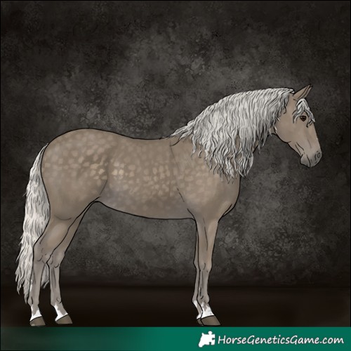 Horse Color:Silver Smoky Black 
