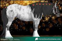 Horse Color:Blue Ice Roan  and Blue Ice Roan 