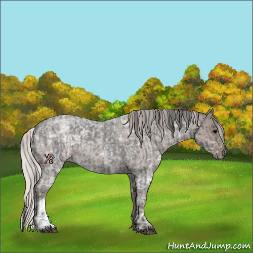 Horse Color:Blue Ice Roan  and Silver Blue Ice Roan 