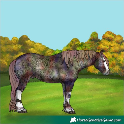 Horse Color:Nacre White Spotted Liver Red Onyx Ice Rabicano 