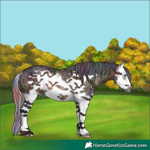 Horse Color:Nacre Brown Ice Dun Splash Frame Rabicano 
