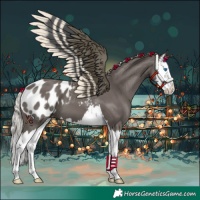 Horse Color:Silver Black Mushroom Splash Appaloosa 