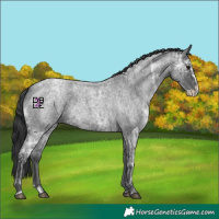 Horse Color:Blue Ice Roan and Blue Ice Roan Splash