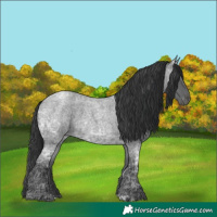 Horse Color:Blue Ice Roan and Blue Ice Roan