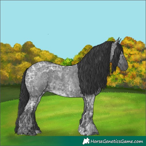 Horse Color:Blue Ice Roan  and Blue Ice Roan 