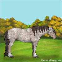 Horse Color:Blue Ice Roan  and Classic Champagne Ice Roan 