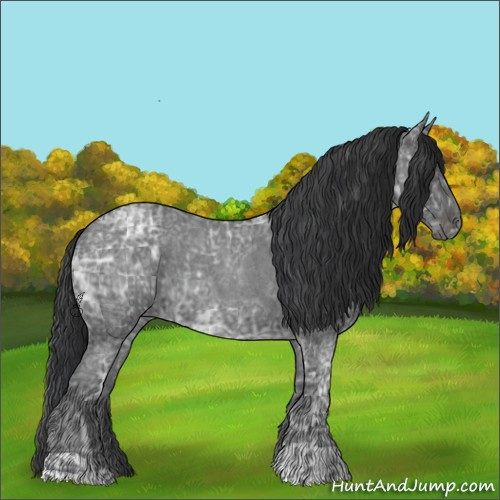 Horse Color:Blue Ice Roan  and Blue Ice Roan 
