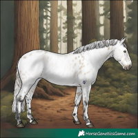 Horse Color:Gray White Spotted Silver Buckskin Roan Dun Appaloosa Rabicano 