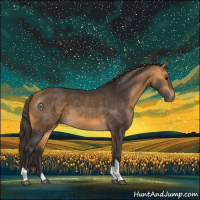 Horse Color:Buckskin Tobiano 