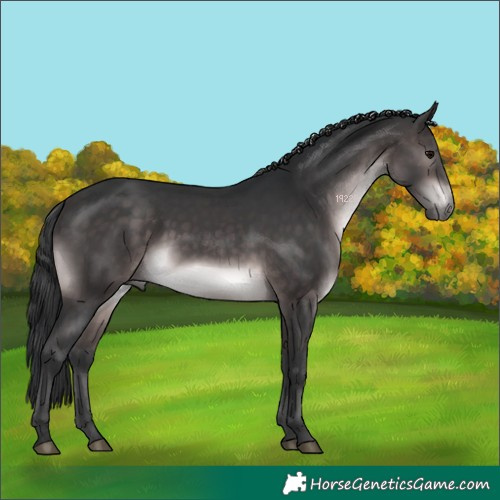 Horse Color:Platinum Brown 