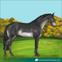 Horse Color:Platinum Brown