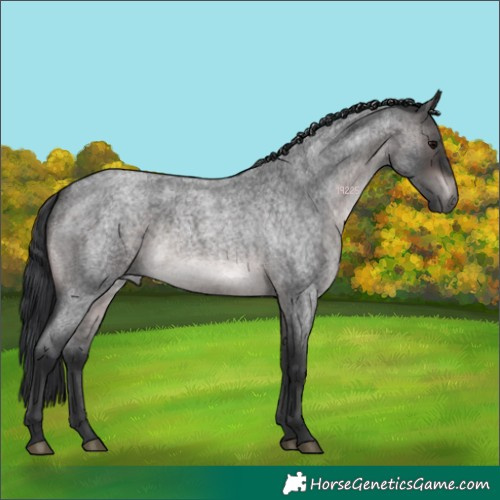 Horse Color:Platinum Brown Roan 