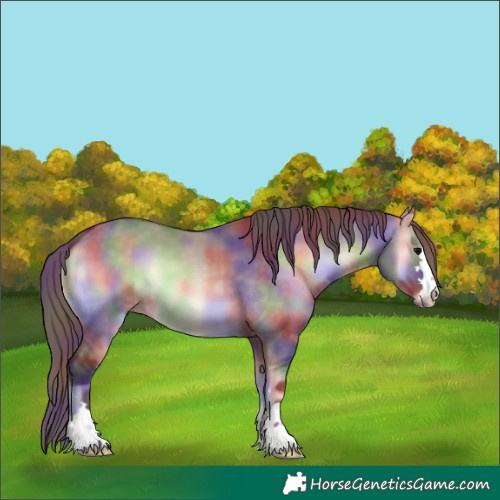 Horse Color:Nacre Chocolate Brown Onyx