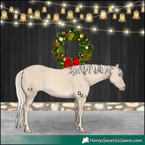 Horse Color:Cremello Dun 