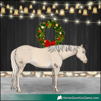 Horse Color:Cremello Dun 