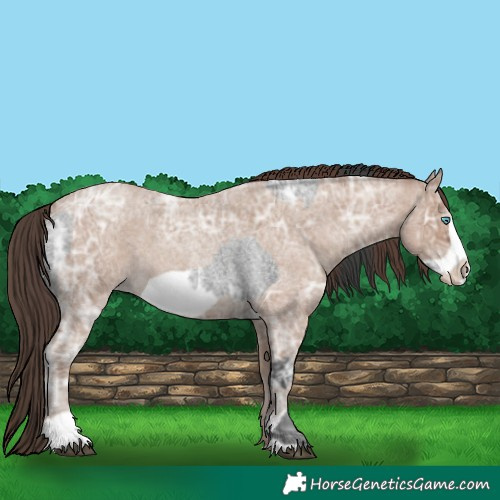 Horse Color:Blue Ice Roan Frame  and Classic Champagne Ice Roan Frame 