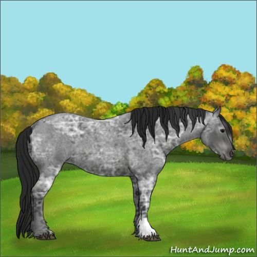 Horse Color:Blue Ice Roan  and Gray Blue Ice Roan 