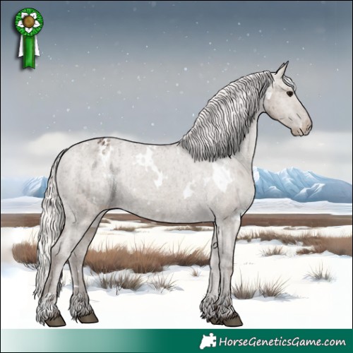 Horse Color:White Spotted Silver Grullo Appaloosa Brindle 