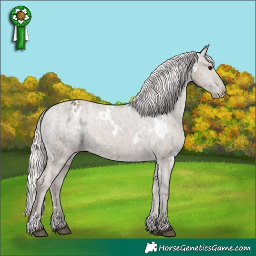 Horse Color:White Spotted Silver Grullo Appaloosa Brindle 