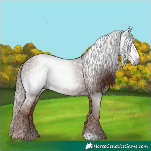 Horse Color:Gray Chestnut 