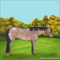 Horse Color:Blue Ice Roan  and Bay Ice Roan 