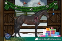 Horse Color:Brown 