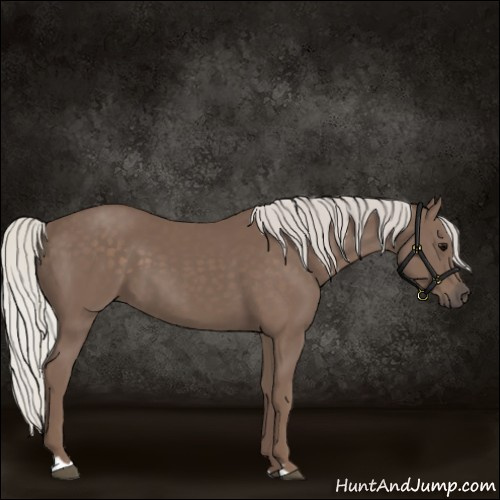 Horse Color:Silver Black 