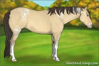Horse Color:White Spotted Amber Cream Champagne Dun 