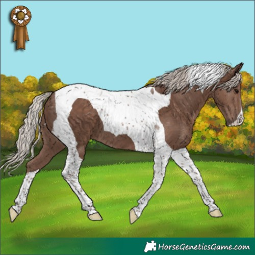 Horse Color:Silver Black Tobiano 