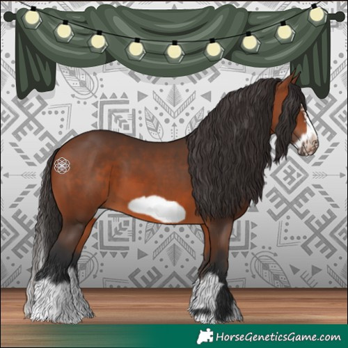 Horse Color:Bay Splash Frame  and Bay Splash Frame 