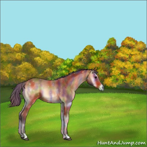 Horse Color:Nacre Bay Onyx 