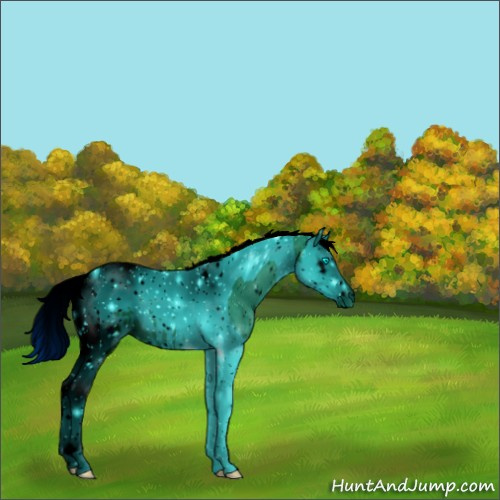 Horse Color:ERROR: UNKNOWN ANOMALY