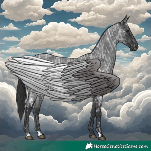 Horse Color:Blue Ice Roan  and Blue Roan 