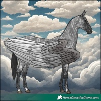 Horse Color:Blue Ice Roan and Blue Roan